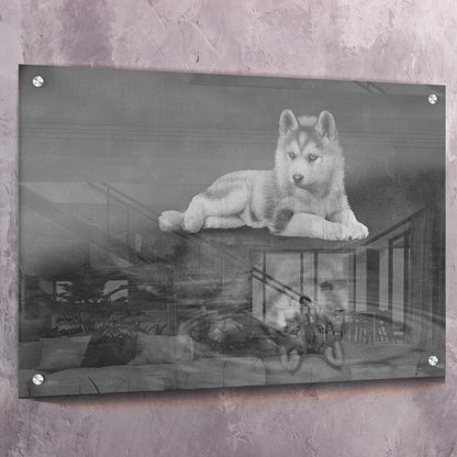 Wolf Reflection Wall Art | Inspirational Wall Art Motivational Wall Art Quotes Office Art | Impaktiv Exclusive Canvas Art Landscape